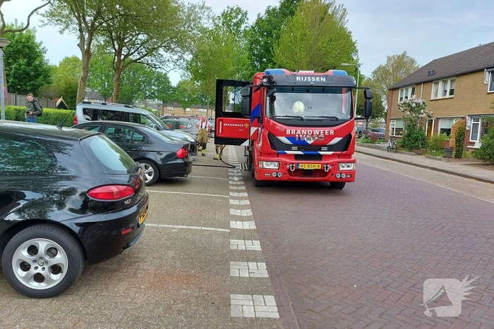 Brand in coniferenhaag snel geblust