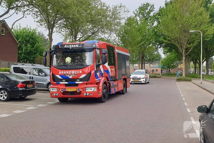 Brand in coniferenhaag snel geblust
