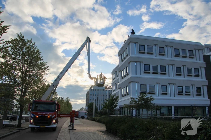 nieuws harlingertrekweg leeuwarden