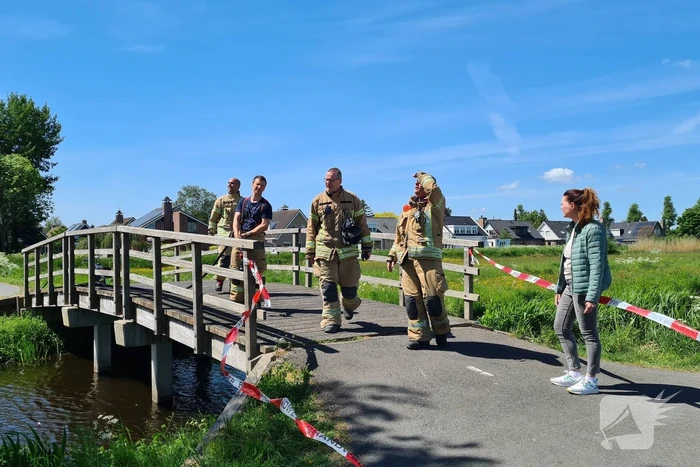 Brandweer probeert kat uit boom te redden