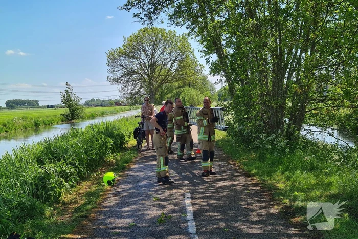 Brandweer probeert kat uit boom te redden