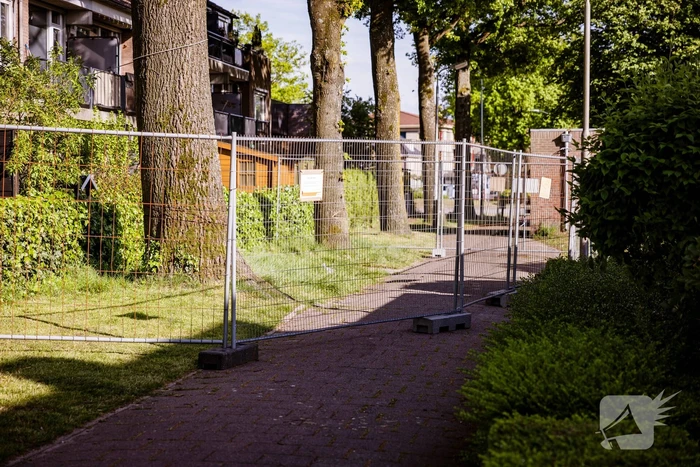 Monumentale eikenbomen onherstelbaar beschadigd