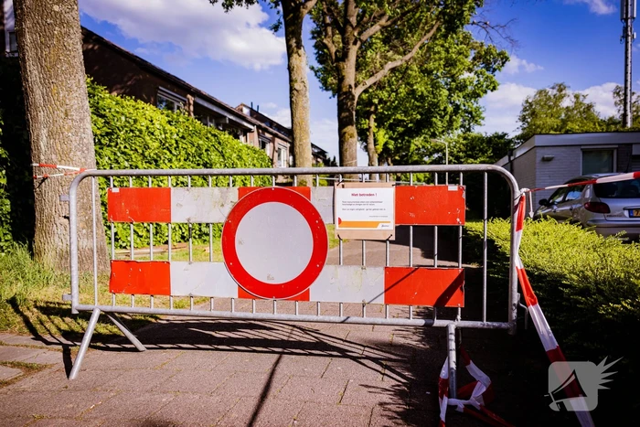Monumentale eikenbomen onherstelbaar beschadigd