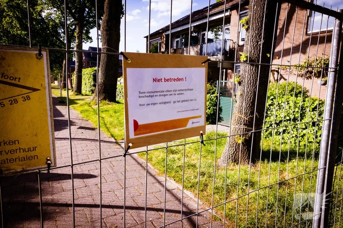 Monumentale eikenbomen onherstelbaar beschadigd