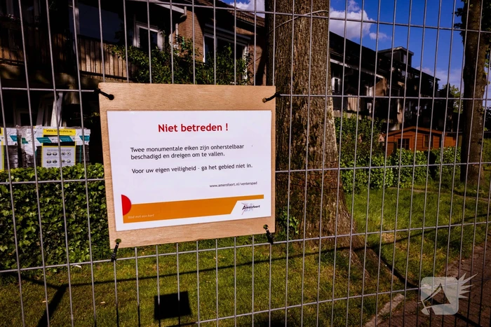 Monumentale eikenbomen onherstelbaar beschadigd