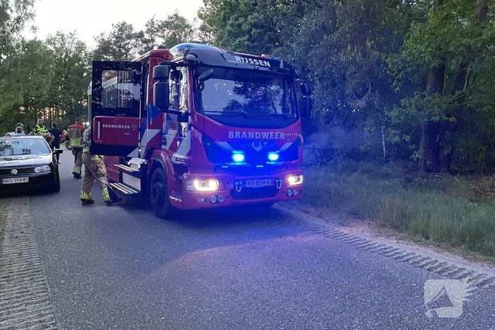 Bosbrand snel onder controle