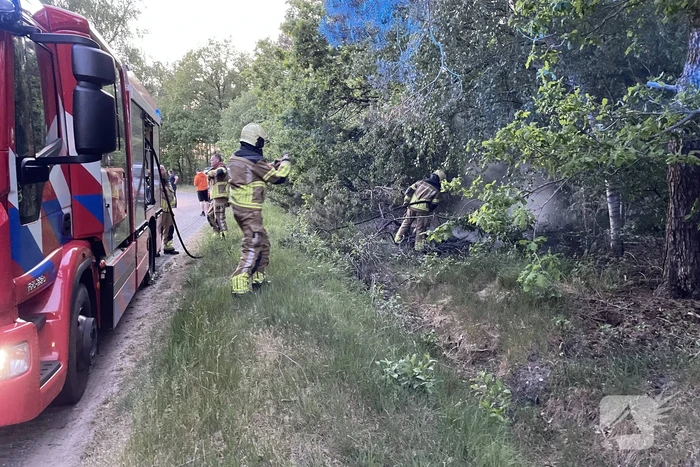 Bosbrand snel onder controle