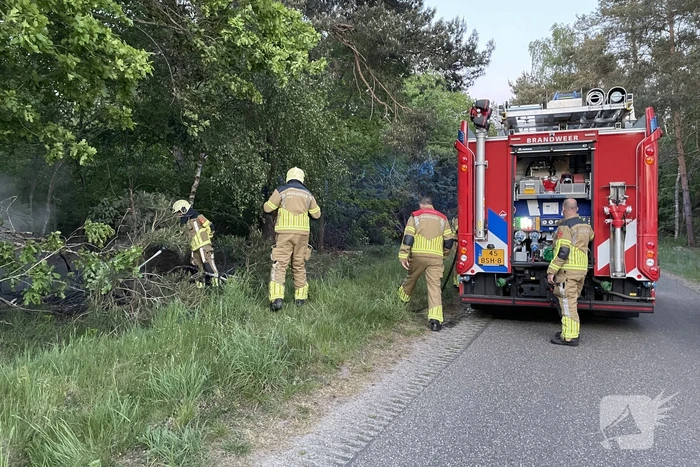 Bosbrand snel onder controle