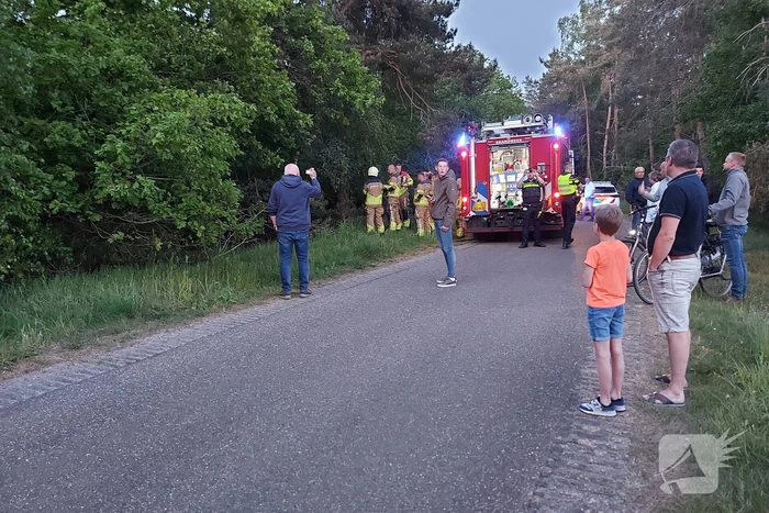 Bosbrand snel onder controle