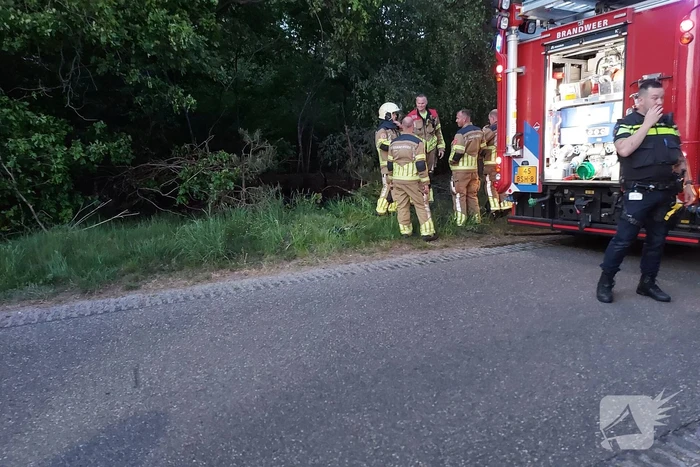 Bosbrand snel onder controle