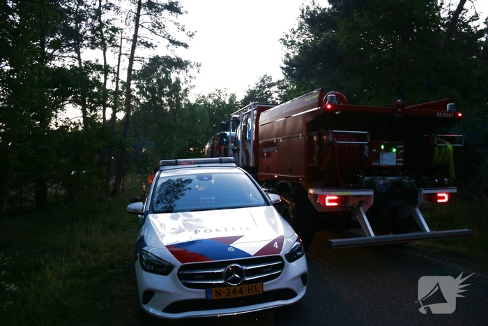 Bosbrand snel onder controle