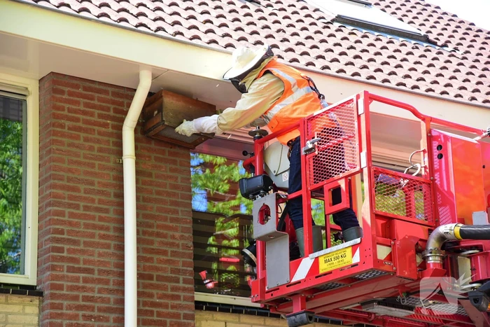 nieuws mr.pieter cornelisz. vermaatlaan poortugaal