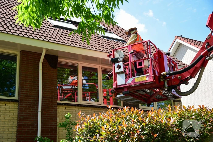 Brandweer ingezet voor verwijderen groot bijennest
