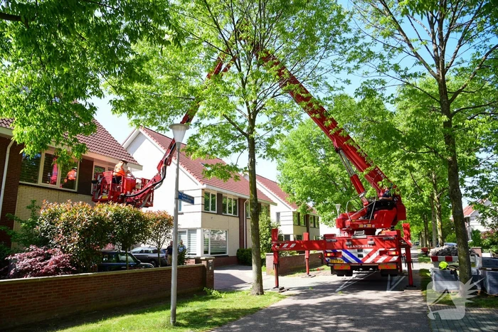 Brandweer ingezet voor verwijderen groot bijennest