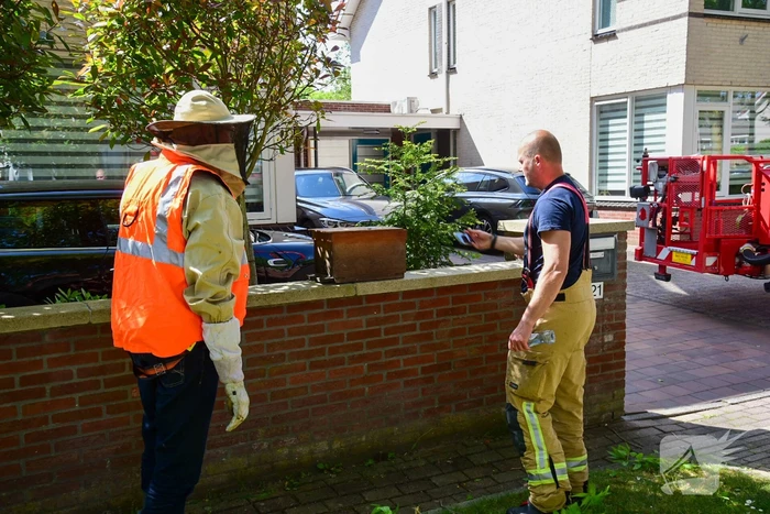 Brandweer ingezet voor verwijderen groot bijennest