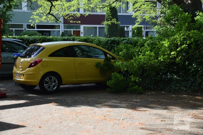 Tak valt op geparkeerde auto