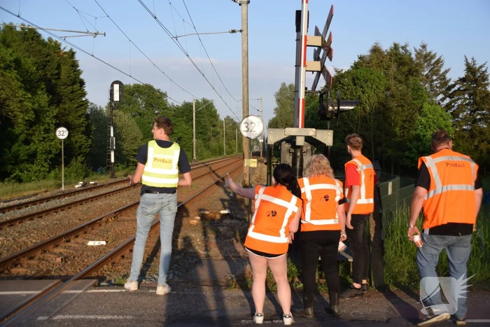 Reddingsactie vermiste hond zorgt voor vertraging treinen