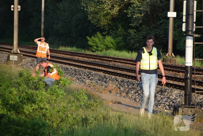 Reddingsactie vermiste hond zorgt voor vertraging treinen