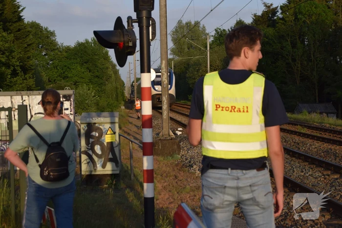 Reddingsactie vermiste hond zorgt voor vertraging treinen