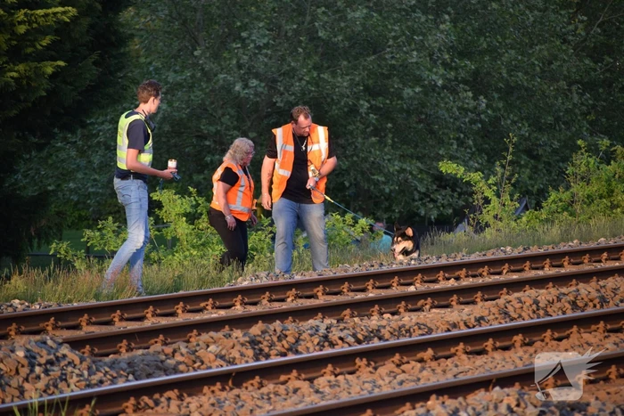 Reddingsactie vermiste hond zorgt voor vertraging treinen