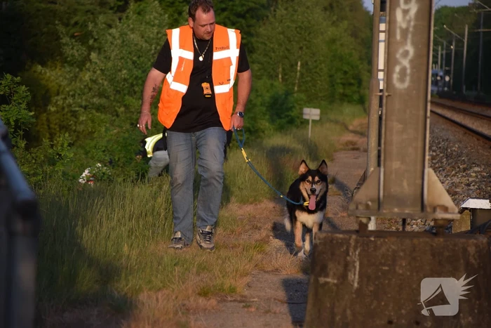 Reddingsactie vermiste hond zorgt voor vertraging treinen