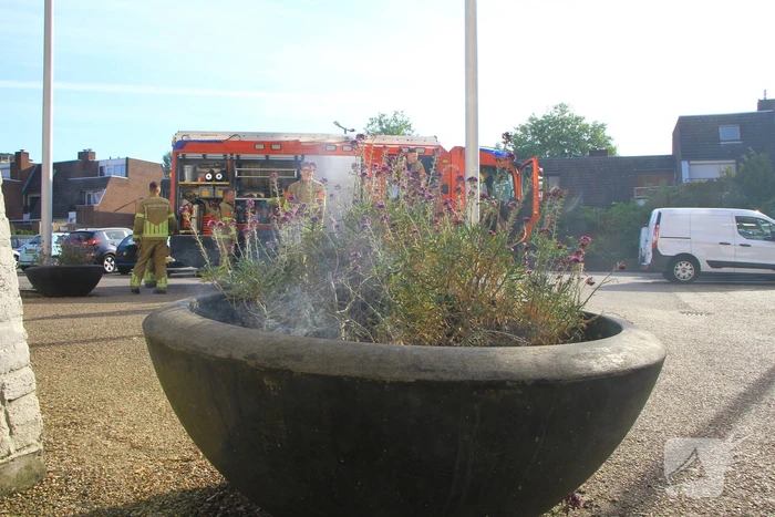 Bloembak met lavendel vliegt in brand