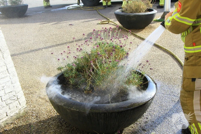Bloembak met lavendel vliegt in brand