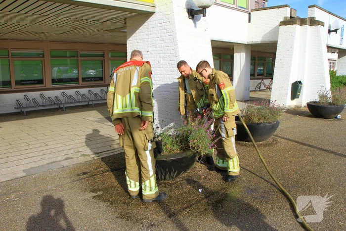 Bloembak met lavendel vliegt in brand
