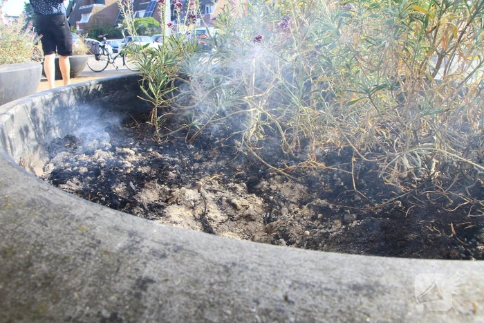 Bloembak met lavendel vliegt in brand