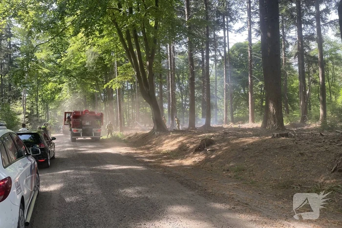 Brand in natuurgebied snel onder controle
