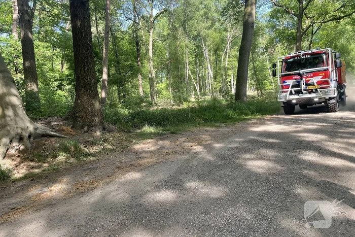 Brand in natuurgebied snel onder controle