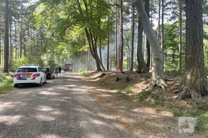Brand in natuurgebied snel onder controle