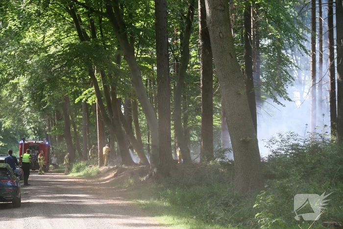 Brand in natuurgebied snel onder controle