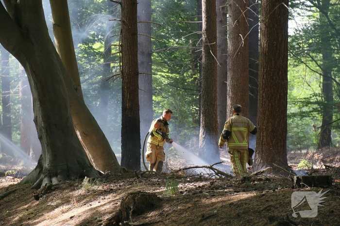 Brand in natuurgebied snel onder controle