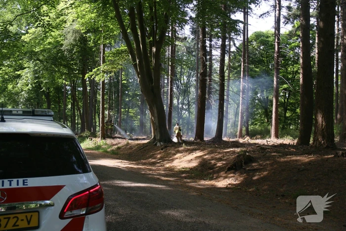Brand in natuurgebied snel onder controle