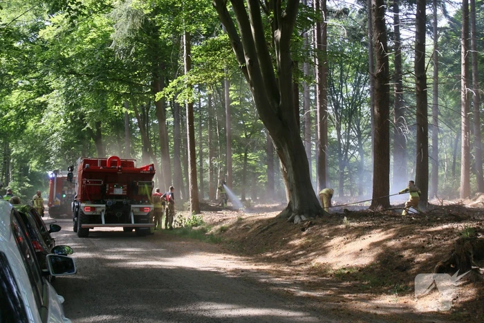 Brand in natuurgebied snel onder controle