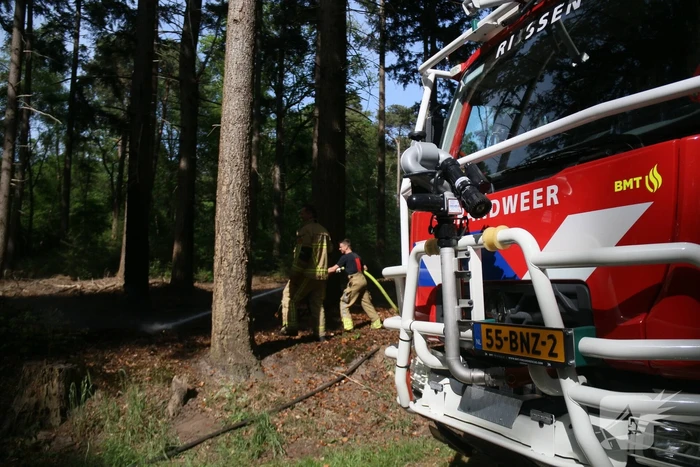 Brand in natuurgebied snel onder controle