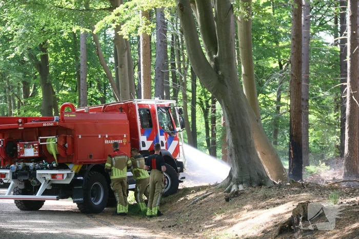 Brand in natuurgebied snel onder controle
