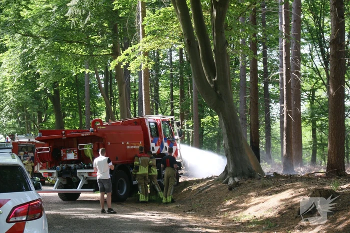 Brand in natuurgebied snel onder controle