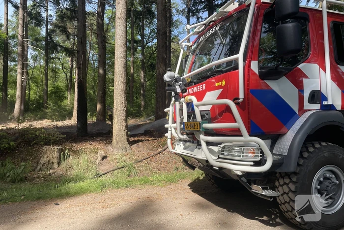 Brand in natuurgebied snel onder controle