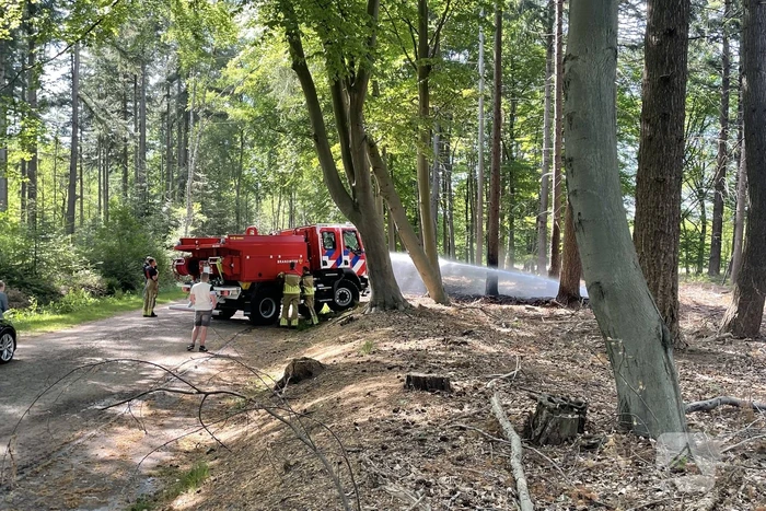 Brand in natuurgebied snel onder controle