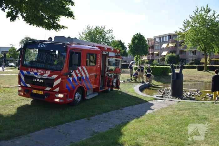 Brandweer pompt fontein leeg