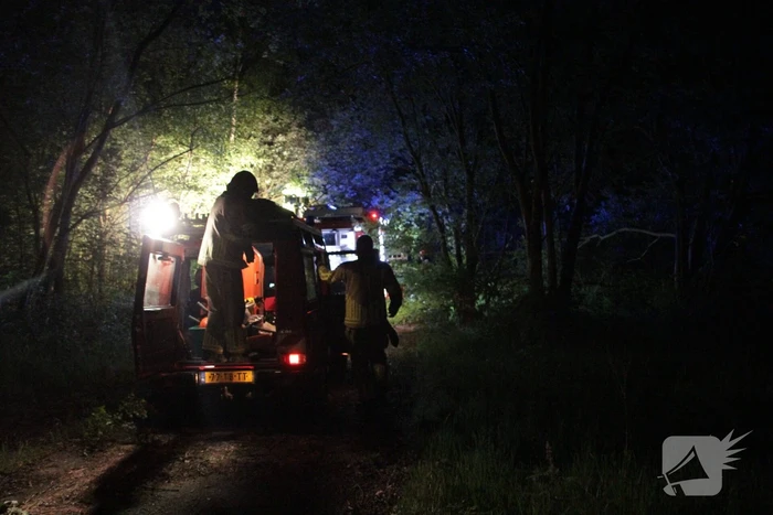Bosbrand ontstaan door kampvuur