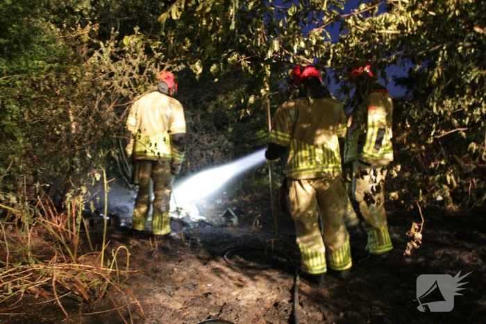Bosbrand ontstaan door kampvuur