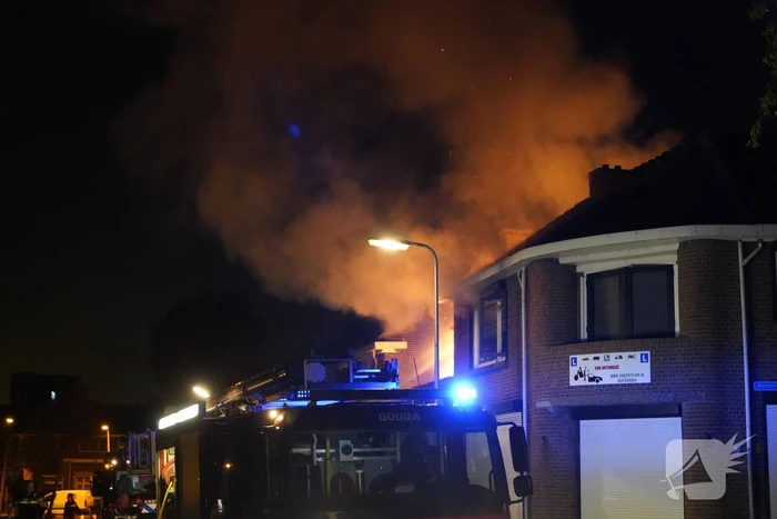 Brandweer redt katten uit woning bij brand