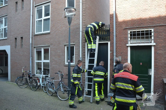 Brandweer bevrijdt kat