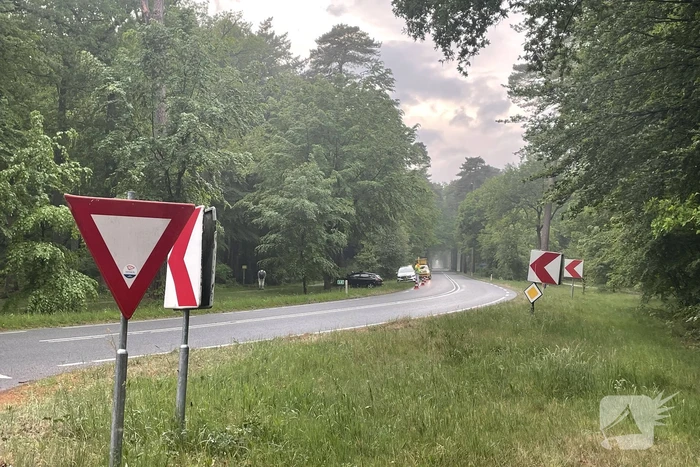 Veel schade bij botsing tegen boom