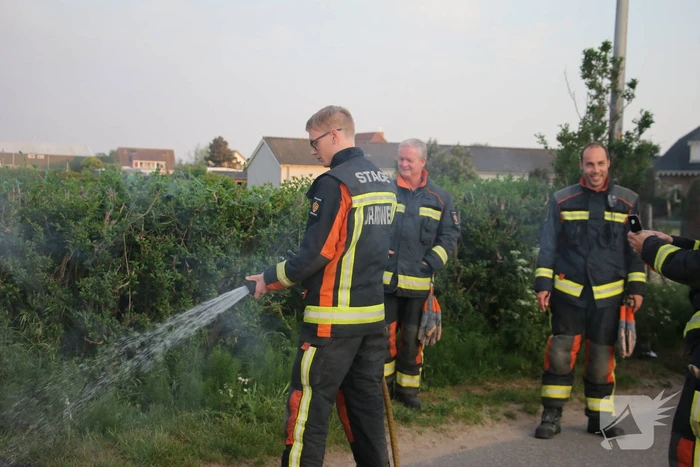 Brandend karton snel geblust