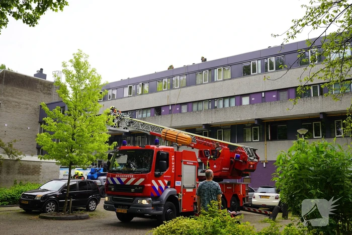 brand zuidhoef gouda