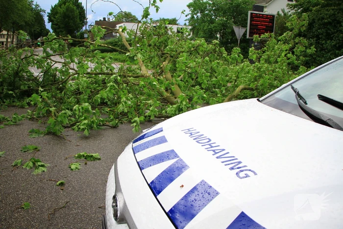 nieuws maaseikerweg weert